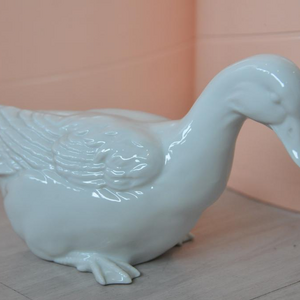 Ente5.jpg