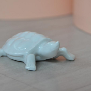 Schildkröte1.jpg