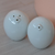 DSC_0062.jpg